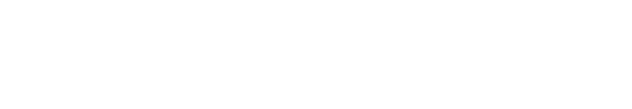 APEXFIT logo
